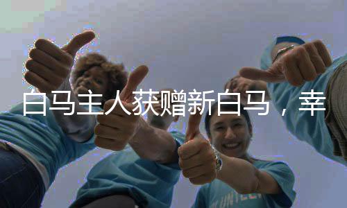 白马主人获赠新白马，幸运降临的喜悦之旅