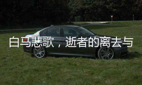 白马悲歌，逝者的离去与主人的深深哀悼