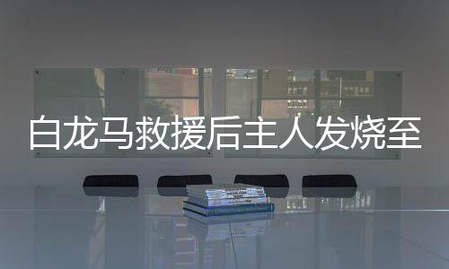 白龙马救援后主人发烧至40度，一份跨越风雨的患难真情