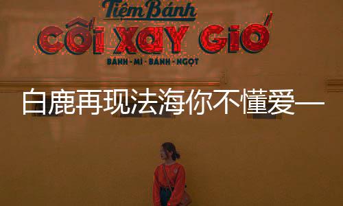 白鹿再现法海你不懂爱——深度探寻文化背后的故事与象征意义（新闻）
