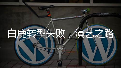 白鹿转型失败，演艺之路的新挑战与反思