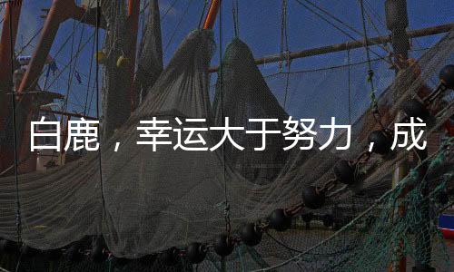 白鹿，幸运大于努力，成就今日辉煌