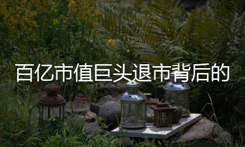 百亿市值巨头退市背后的故事与反思，探究资本市场深处的变数与挑战