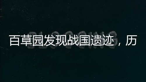 百草园发现战国遗迹，历史文化的瑰宝再现