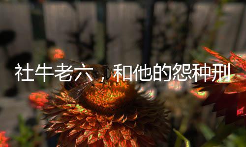 社牛老六，和他的怨种刑警姐姐！