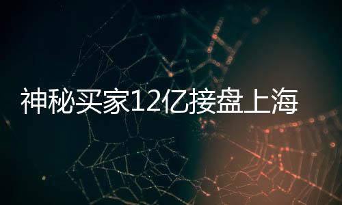 神秘买家12亿接盘上海城隍庙广场，交易背后的故事