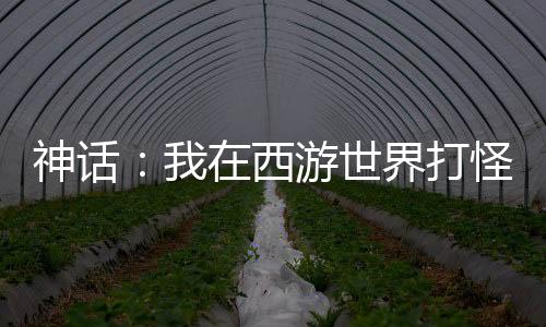 神话：我在西游世界打怪升级