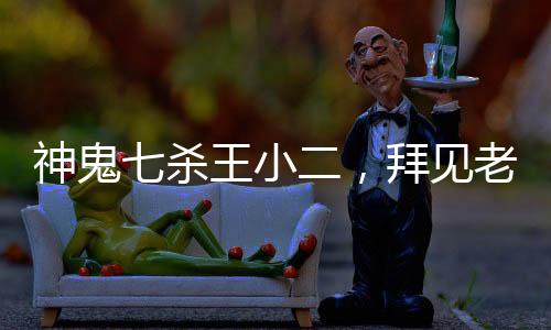 神鬼七杀王小二，拜见老天师