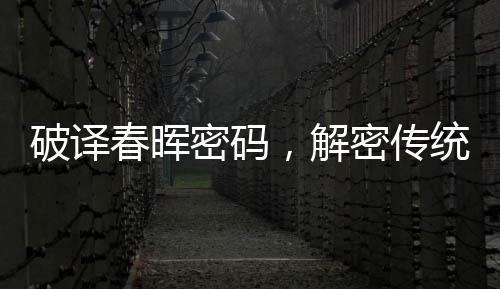 破译春晖密码，解密传统文化之行行行春联诵读艺术