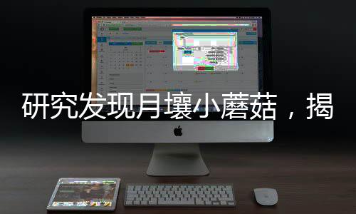 研究发现月壤小蘑菇，揭示月球新奥秘