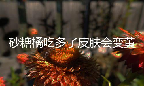 砂糖橘吃多了皮肤会变黄吗？探究真相与科学依据