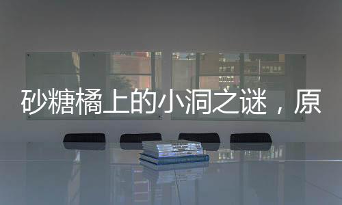 砂糖橘上的小洞之谜，原因探究与解析