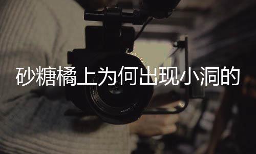 砂糖橘上为何出现小洞的秘密