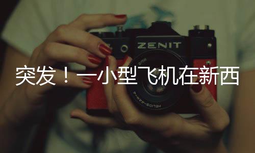 突发！一小型飞机在新西兰坠毁 致一人受重伤