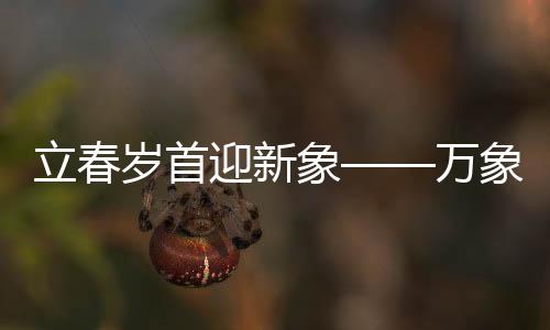 立春岁首迎新象——万象更新之际的喜悦与期待