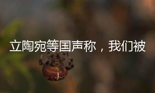 立陶宛等国声称，我们被美英法出卖——揭秘背后的真相