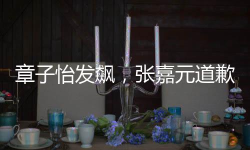章子怡发飙，张嘉元道歉——一次公众事件的深度解读