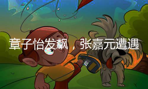 章子怡发飙，张嘉元遭遇挑战，一场引人瞩目的娱乐圈事件