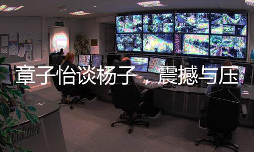 章子怡谈杨子，震撼与压力并存