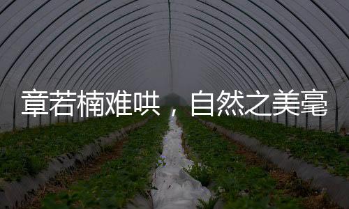 章若楠难哄，自然之美毫无攻击性，如诗如画引人入胜