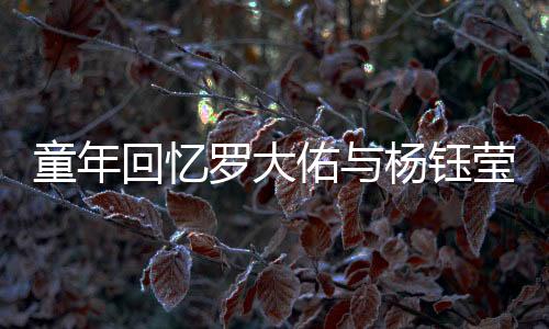 童年回忆罗大佑与杨钰莹小时候的除夕歌会