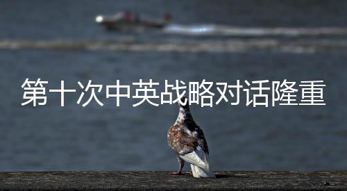 第十次中英战略对话隆重举行，深化合作，共谋发展
