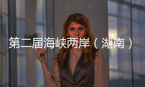 第二届海峡两岸（湖南）青年交流发展大会举行  共促文化艺术发展