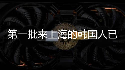 第一批来上海的韩国人已经赚大了