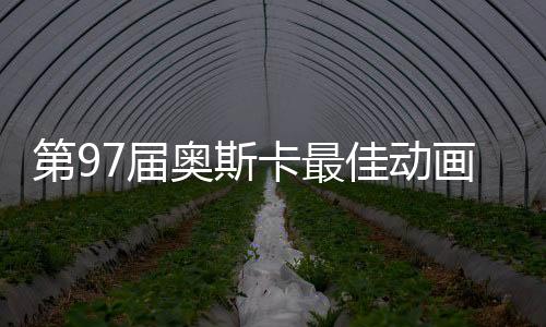 第97届奥斯卡最佳动画长片，超越想象的艺术佳作