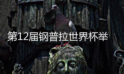 第12届钢普拉世界杯举行 中国选手斩获21岁以上组冠军