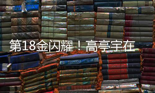 第18金闪耀！高亭宇在速度滑冰500米项目中夺冠创辉煌