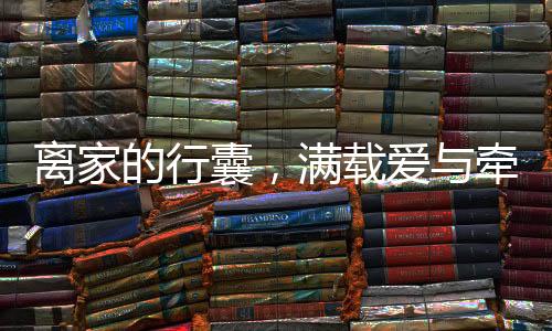 离家的行囊，满载爱与牵挂的温暖旅程