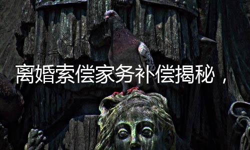离婚索偿家务补偿揭秘，一纸判决背后究竟隐藏着怎样的故事？