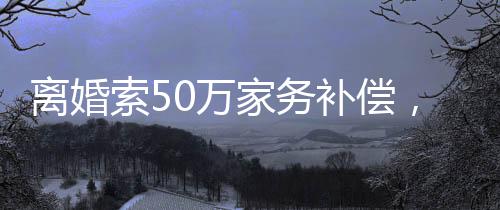 离婚索50万家务补偿，当代家庭纷争下的利益权衡与公正追求
