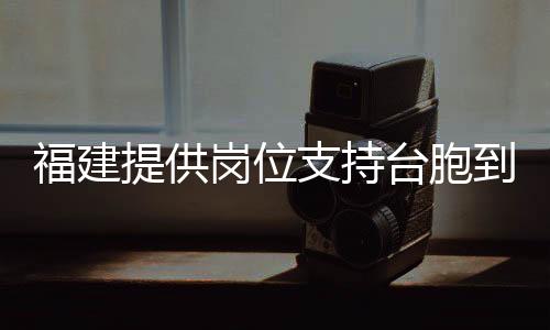 福建提供岗位支持台胞到宁德锂电行业发展