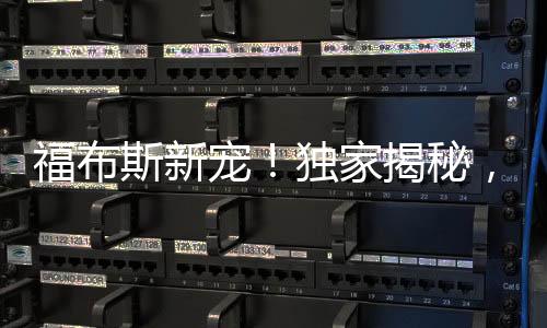福布斯新宠！独家揭秘，80后美女副总裁崭露头角登上福布斯富豪榜