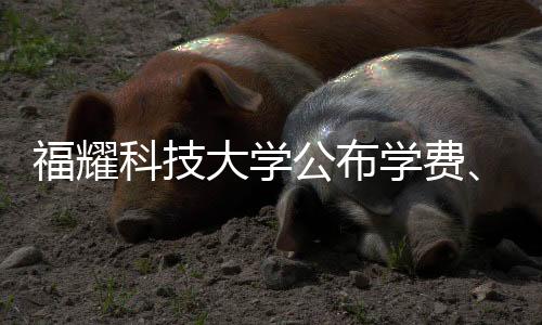 福耀科技大学公布学费、招生人数等，最新资讯详解
