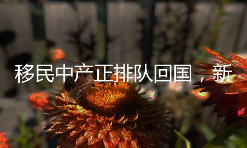 移民中产正排队回国，新时代背景下的国际人才流动新趋势