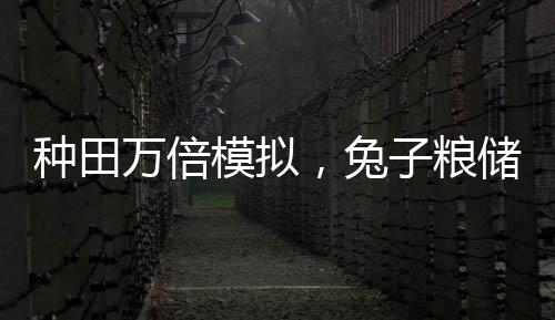 种田万倍模拟，兔子粮储成第一