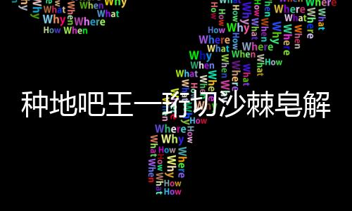 种地吧王一珩切沙棘皂解压体验，劳作乐趣与解压之道的完美结合
