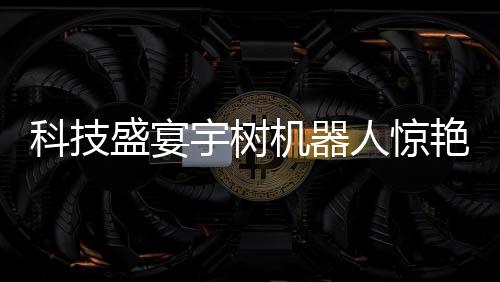 科技盛宴宇树机器人惊艳表演，李小龙式720度回旋踢震撼全场