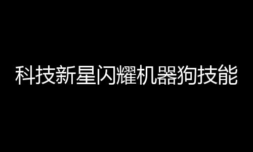 科技新星闪耀机器狗技能值拉满，展现未来智能无限可能
