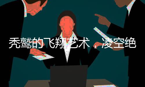 秃鹫的飞翔艺术，凌空绝舞，展现自然魅力
