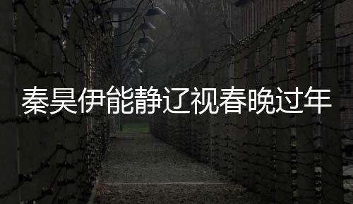 秦昊伊能静辽视春晚过年，星光璀璨，共庆佳节