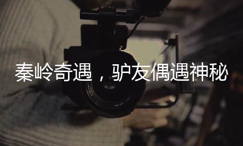 秦岭奇遇，驴友偶遇神秘六不像神兽