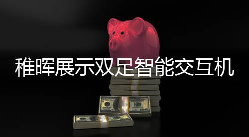 稚晖展示双足智能交互机器人，未来科技的崭新里程碑