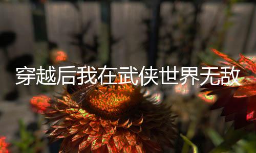 穿越后我在武侠世界无敌了