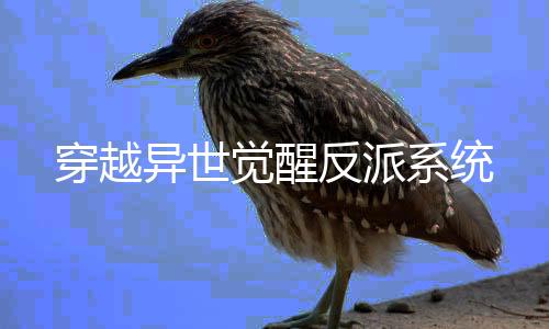 穿越异世觉醒反派系统