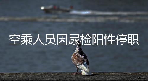 空乘人员因尿检阳性停职事件的深度解析