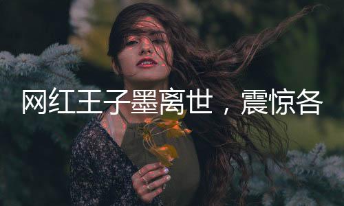 网红王子墨离世，震惊各界